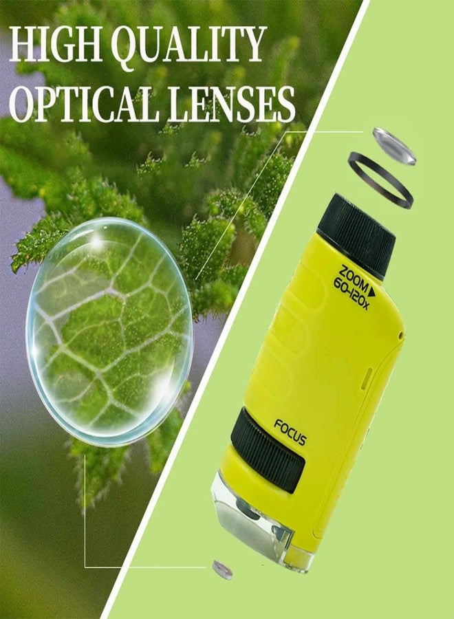 مجهر جيب صغير للأطفال من دوهيسين، بتكبير من 60x إلى 120x، مجهر محمول للأطفال من ميني لابسترز، مجهر يدوي للتجارب العلمية للأطفال (أخضر) - Image 4